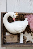 A Swan Of A Time