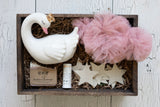 A Swan Of A Time