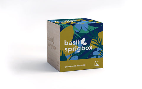 Basil Sprigbox