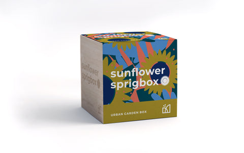 Sunflower SprigBox